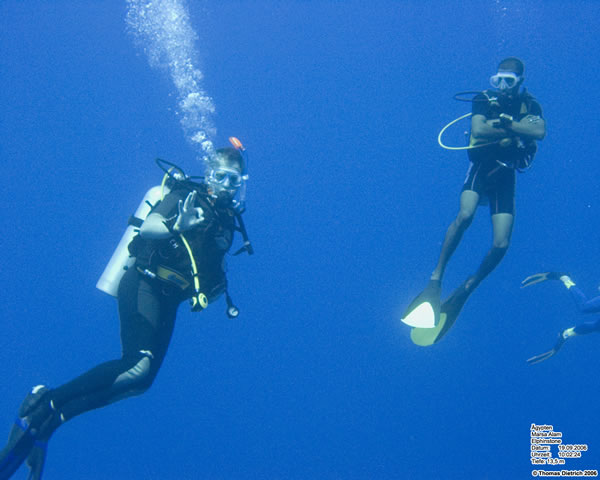 Marsa_al_Alam_Dive_2006_106