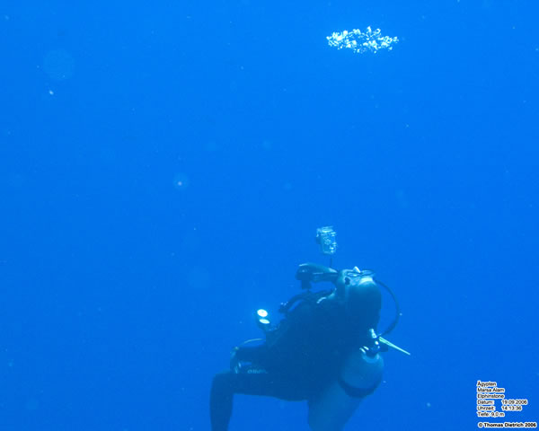 Marsa_al_Alam_Dive_2006_121