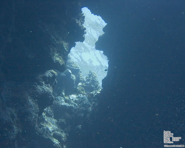 Marsa_al_Alam_Dive_2006_123